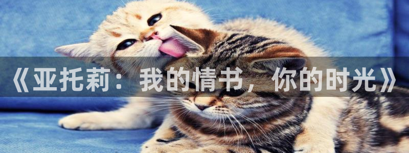韩国羞羞漫画阅读
