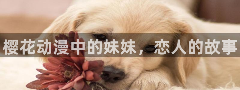 羞羞漫画下拉框