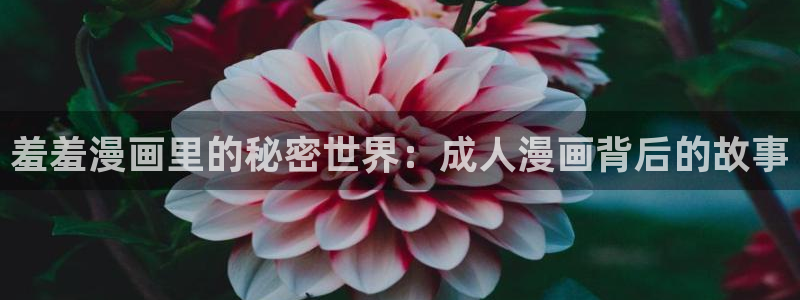 羞羞漫画限免