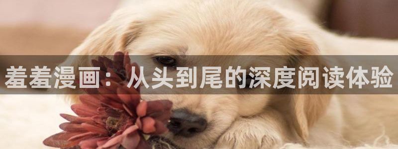 嘿咻漫画羞羞漫画