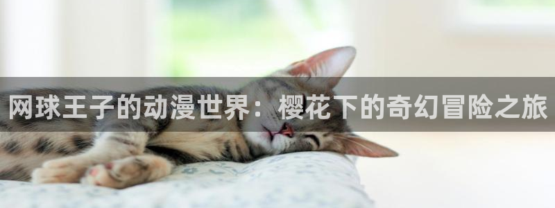 羞羞漫画.com