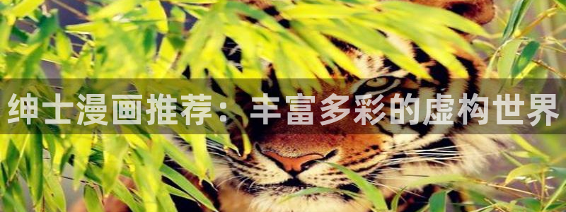羞羞漫画弹窗