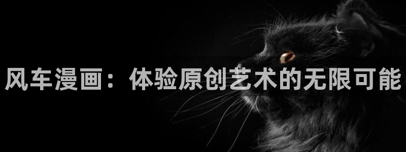 羞羞漫画|韩漫：风车漫画：体验原创艺术的无限可能