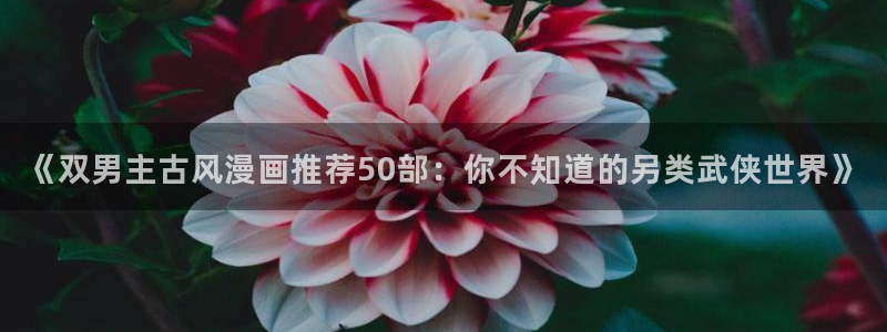 羞羞漫画登陆网站：《双男主古风漫画推荐50部：你不知道的另类武侠世界》