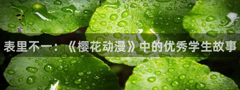 羞羞漫画在线韩漫：表里不一：《樱花动漫》中的优秀学生故事