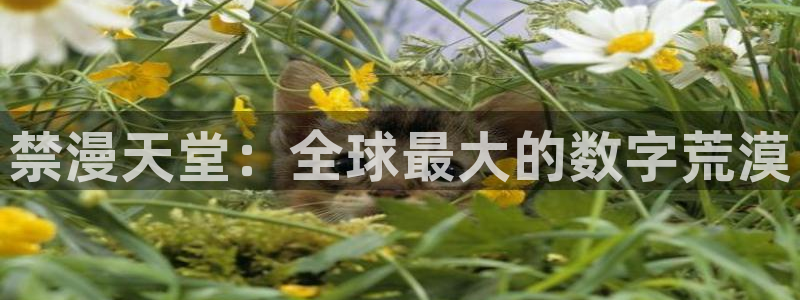 羞羞漫画里：禁漫天堂：全球最大的数字荒漠